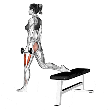 Bulgarian Split Squats